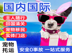 玉龙航空物流国际宠物托运 【国